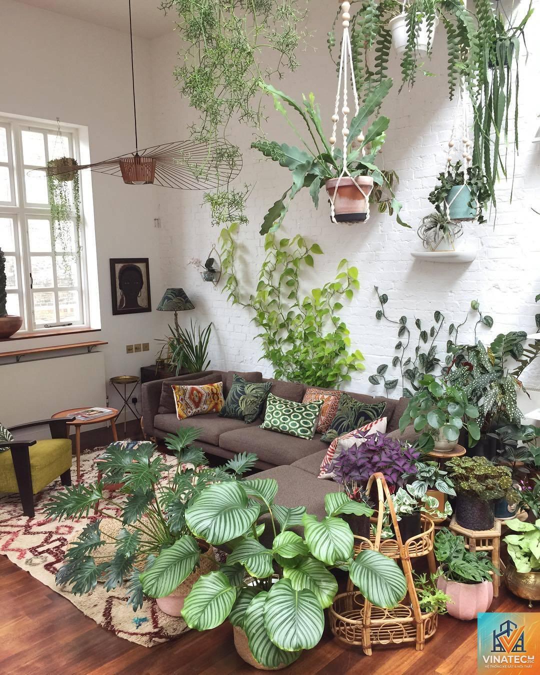 indoor garden là gì - Hình 1