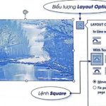 Layout Option Là Gì? Giải Mã Toàn Diện Tùy Chọn Bố Cục Trong Thiết Kế Web Và Đồ Họa layout option là gì