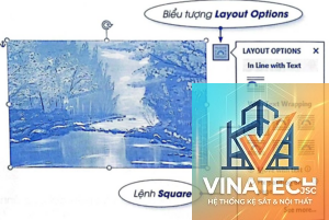 layout option là gì