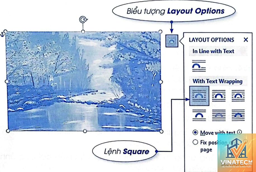 layout option là gì - Hình 1