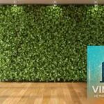 Living Wall Là Gì? Bí Quyết Kiến Tạo Bức Tường Sống Động Cho Không Gian Hiện Đại