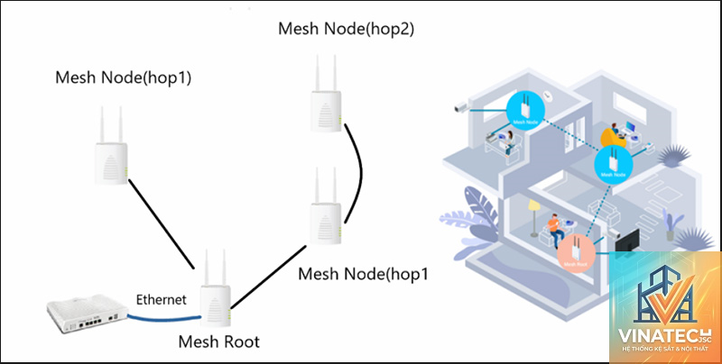 mesh là gì