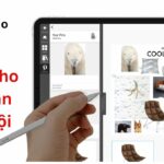 Morpholio Board Là Gì? Công Cụ Mood Board Kỹ Thuật Số Cho Kiến Trúc Và Thiết Kế Nội Thất morpholio board là gì