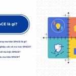 Multifunctional Space Là Gì? Giải Pháp Tối Ưu Không Gian Sống Và Làm Việc Hiện Đại multifunctional space là gì