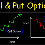 option study là gì