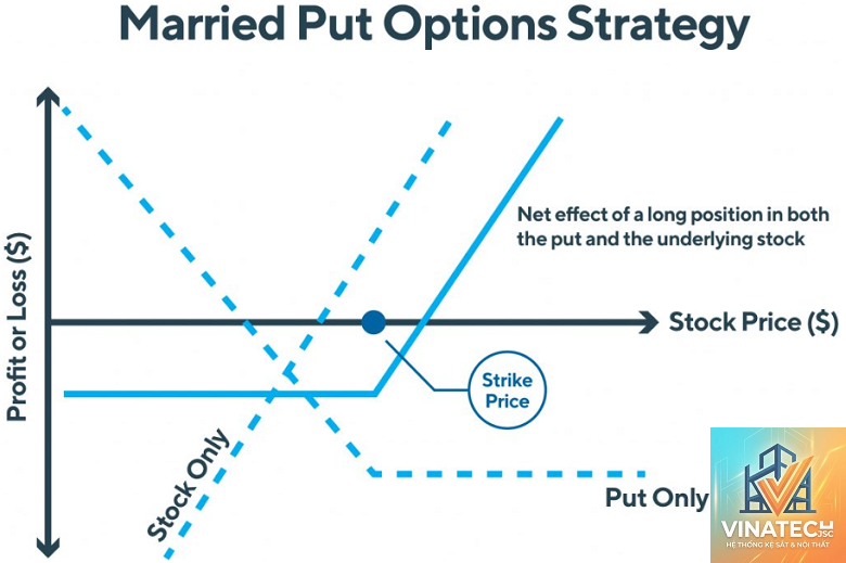 option study là gì - Hình 2