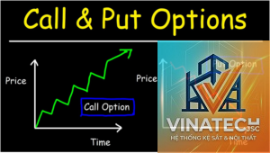 option study là gì