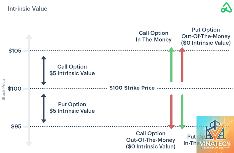 option study là gì - Hình 4