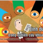 Peer Review Là Gì? Hiểu Đúng Bản Chất, Quy Trình Và Giá Trị Cốt Lõi Trong Nghiên Cứu Khoa Học Peer Review Là Gì? Hiểu Đúng Bản Chất, Quy Trình Và Giá Trị Cốt Lõi Trong Nghiên Cứu Khoa Học