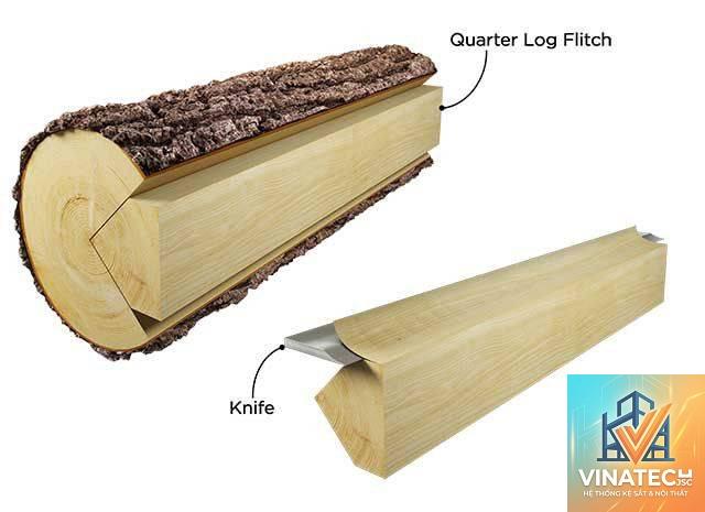 plain sliced veneer là gì - Hình 2