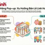 pop up store là gì