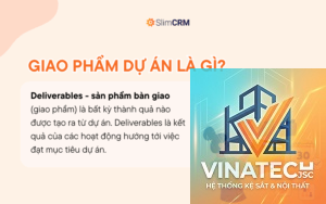 project deliverables là gì