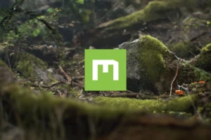 quixel megascans là gì