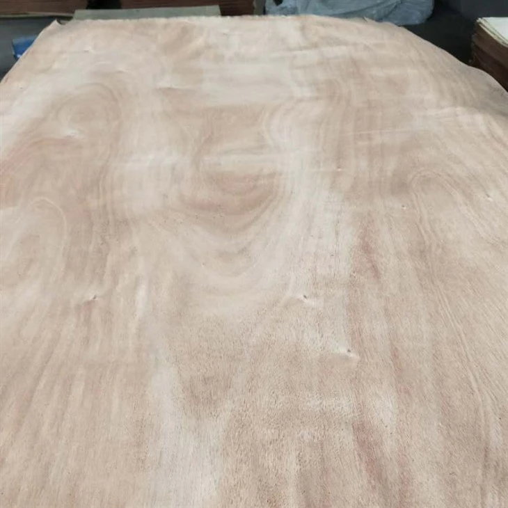 rotary cut veneer là gì - Hình 5