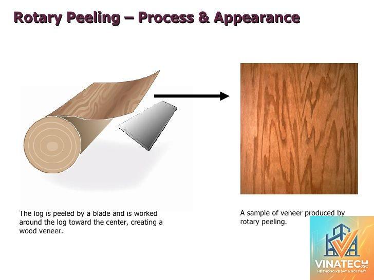 rotary cut veneer là gì