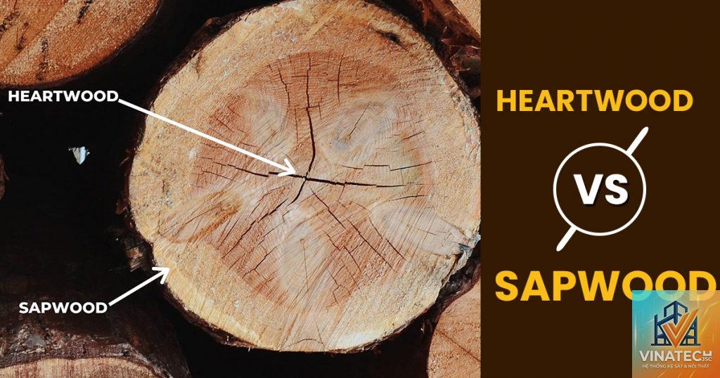 sapwood là gì - Hình 2