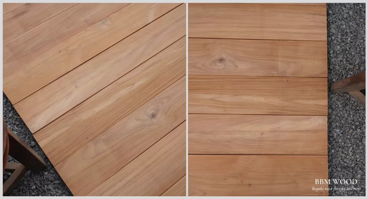 sapwood là gì - Hình 4