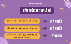 scene setup là gì
