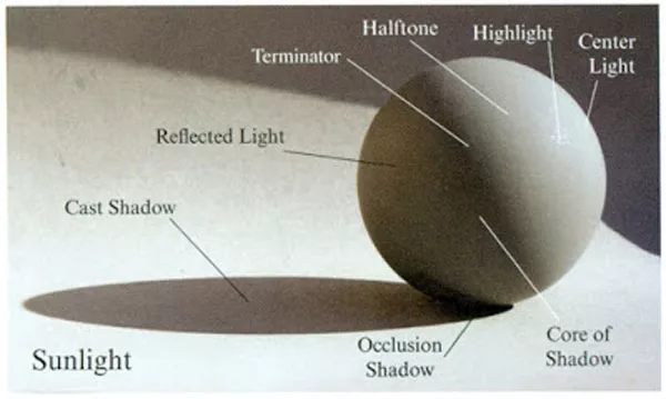 shadow joint là gì - Hình 1