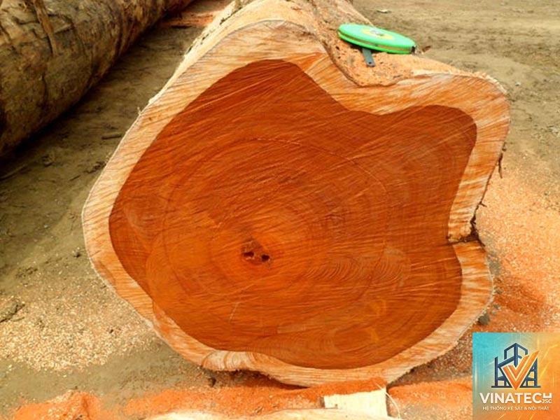solid teak là gì - Hình 3