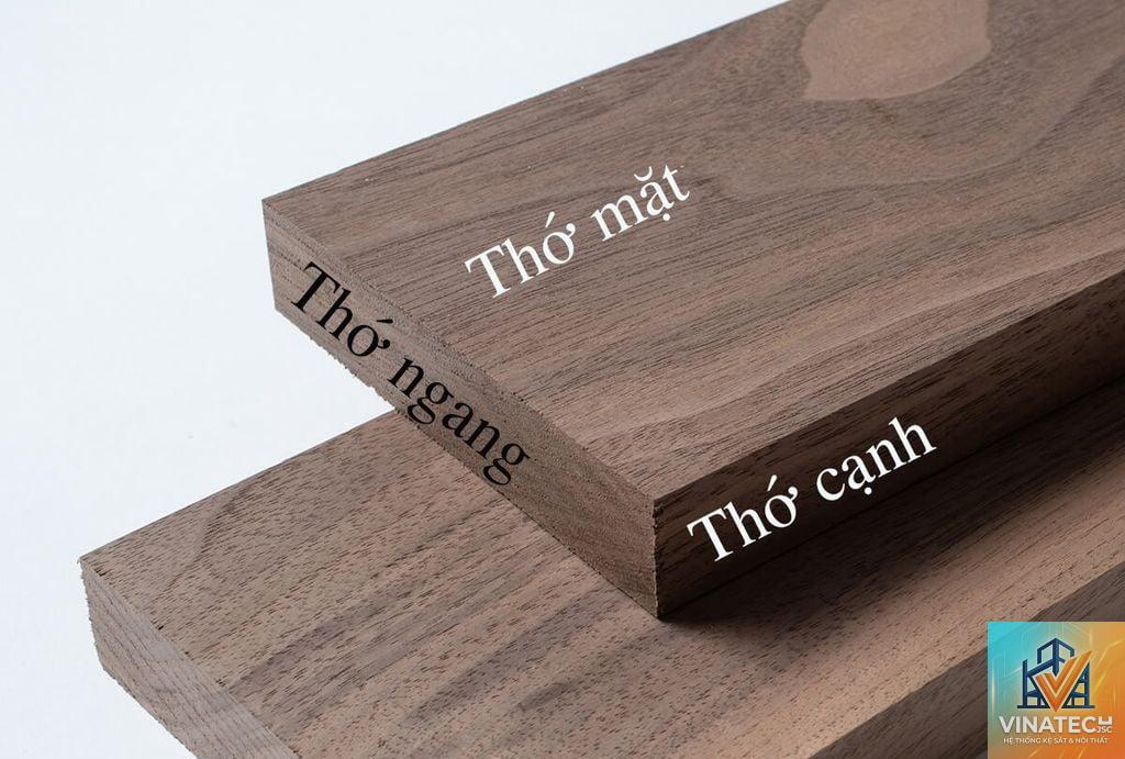 thớ gỗ là gì