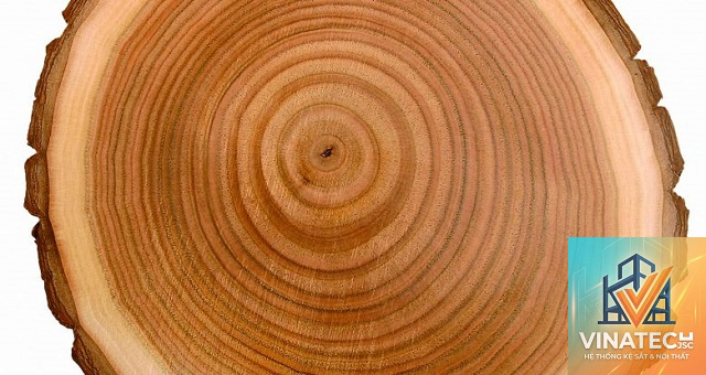 vân gỗ là gì - Hình 4