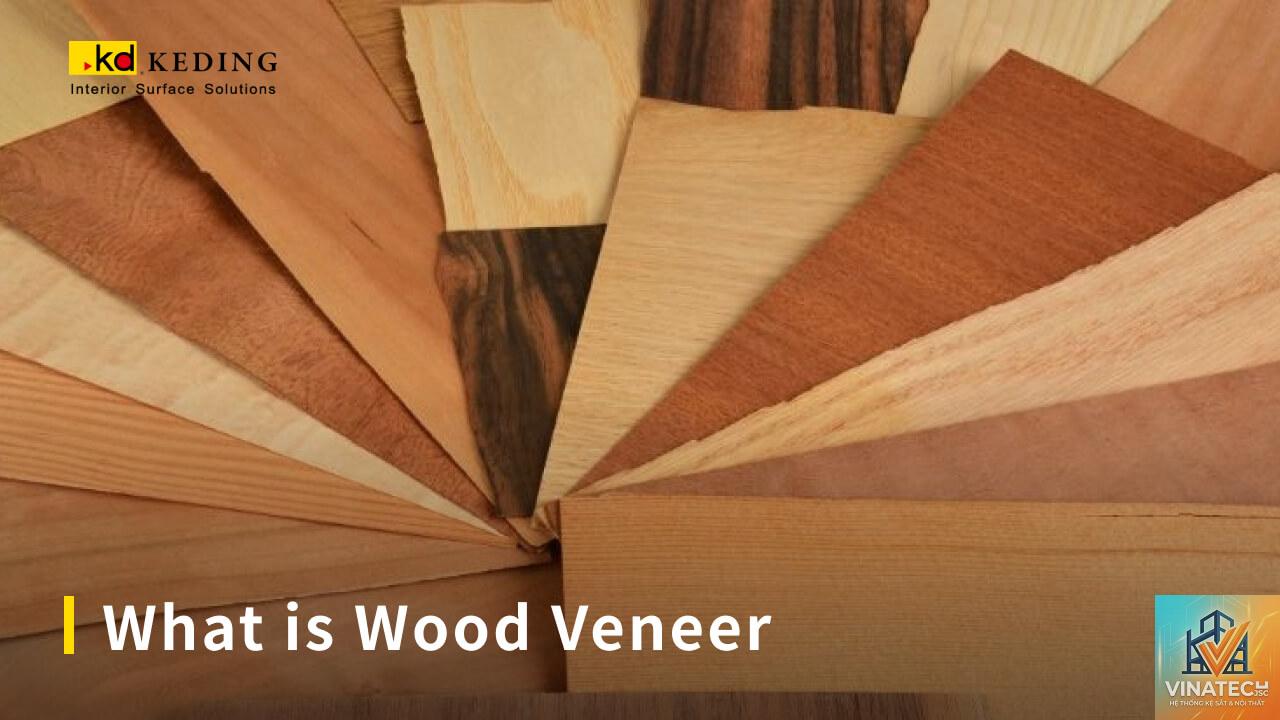 veneer panel là gì - Hình 3
