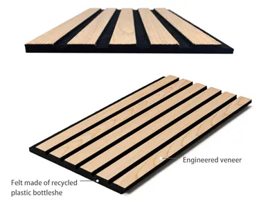 veneer vs pet - Image 3