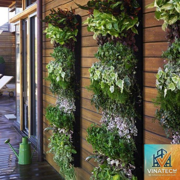 vertical garden là gì - Hình 4