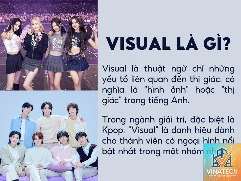visual experience là gì - Hình 2