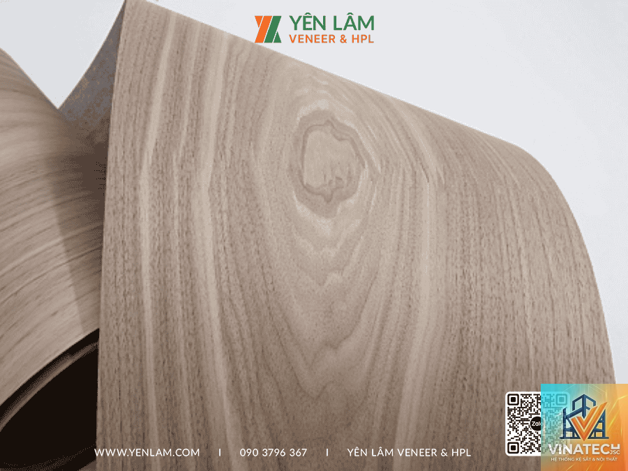 walnut veneer là gì - Hình 2