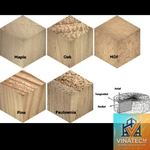 wood density là gì - Hình 4