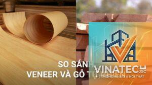acrylic vs veneer tự nhiên