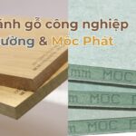 gỗ dongwha vs gỗ mộc phát