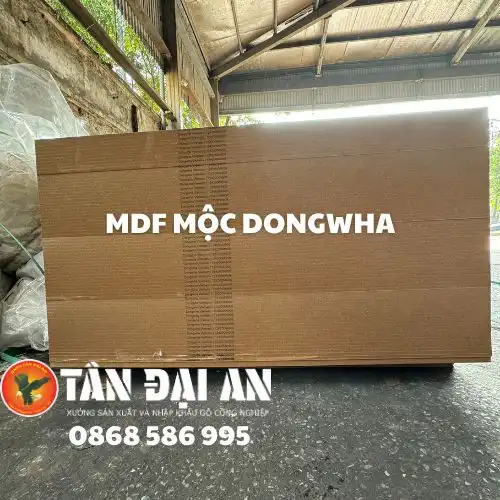 gỗ dongwha vs gỗ mộc phát - Image 5