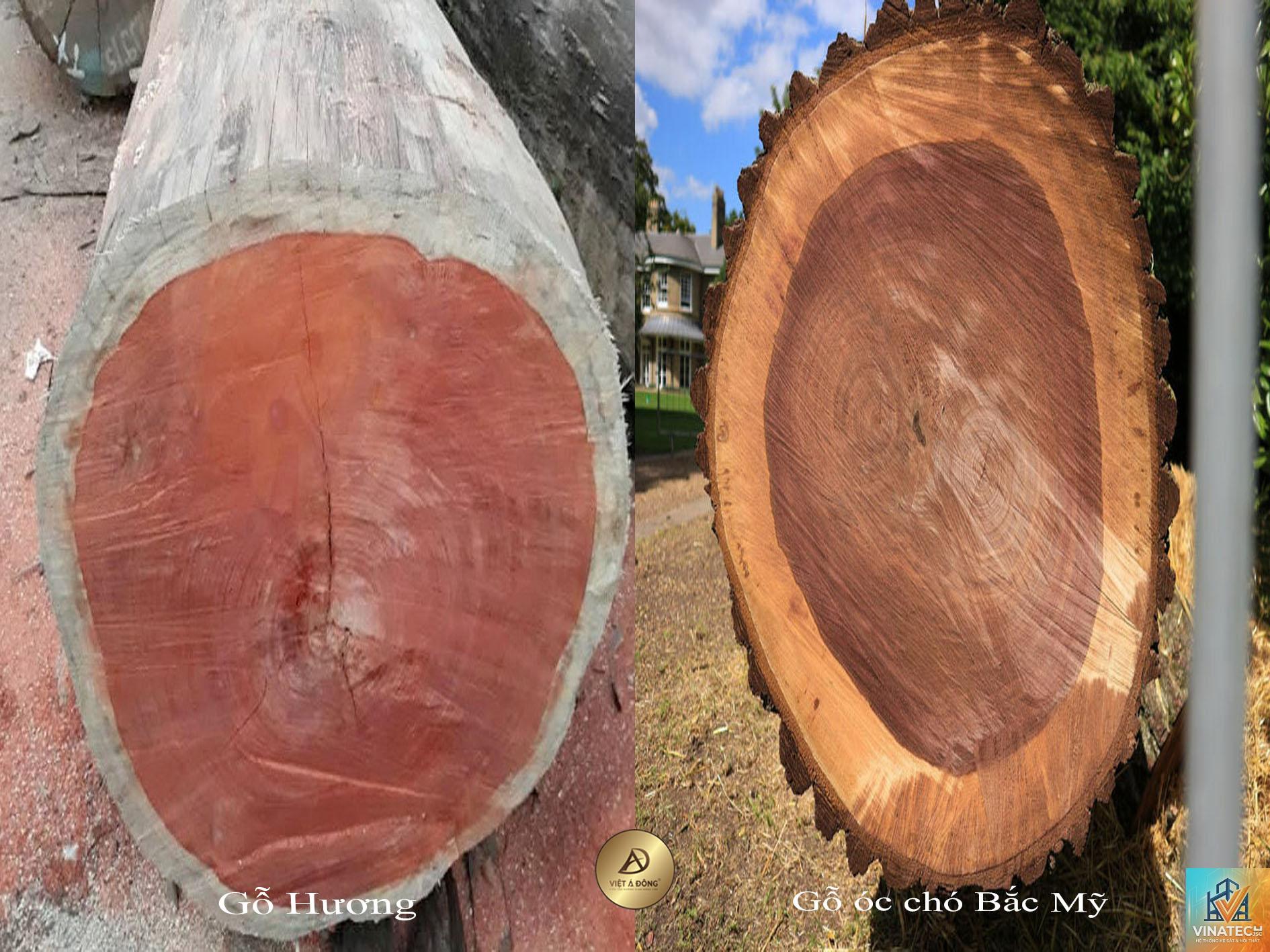 gỗ hương vs gỗ óc chó - Image 5