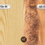 Gỗ óc chó vs gỗ tần bì: So sánh chi tiết và kinh nghiệm chọn loại gỗ phù hợp nhất gỗ óc chó vs gỗ tần bì