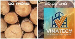 gỗ óc chó vs gỗ thông