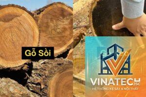 gỗ sồi vs gỗ keo