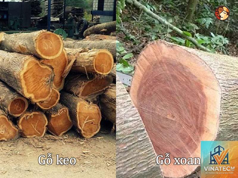 gỗ sồi vs gỗ keo - Image 3