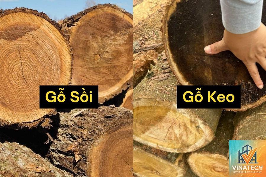 gỗ sồi vs gỗ keo - Image 1