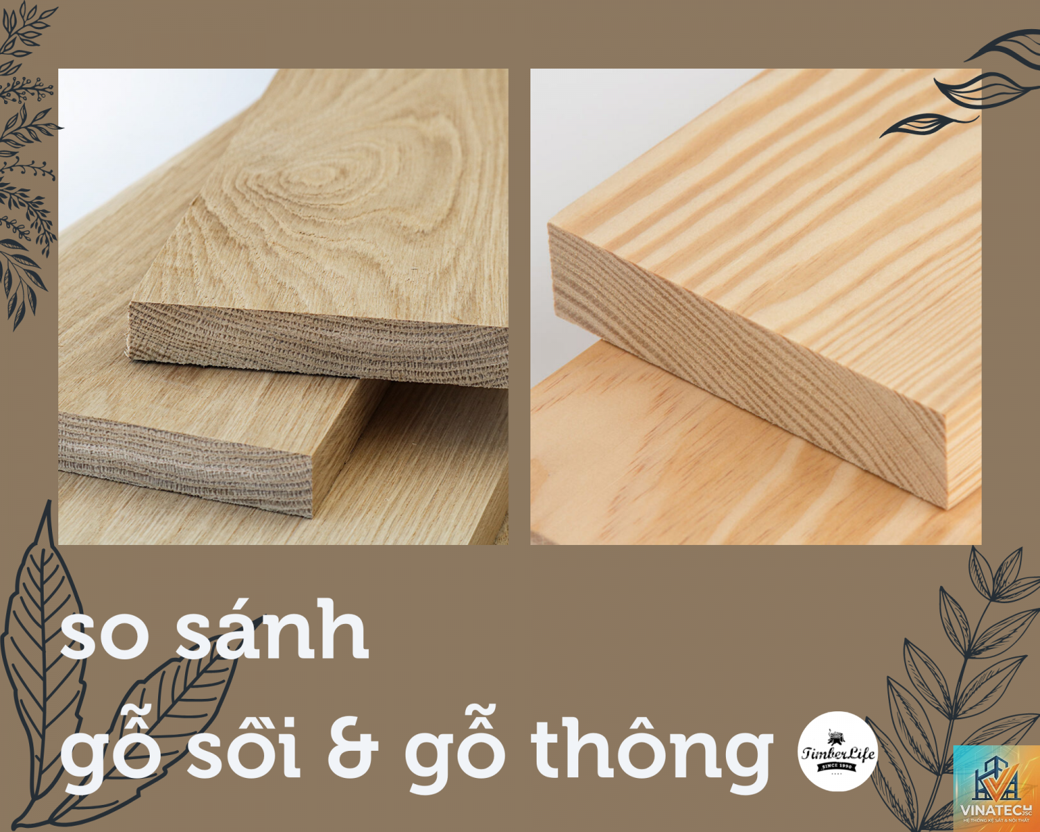 gỗ sồi vs gỗ thông - Image 2