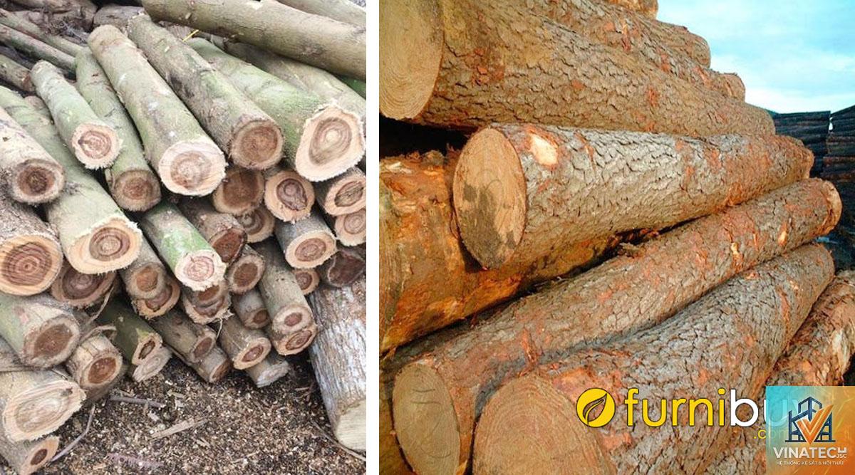 gỗ teak vs gỗ keo - Image 5