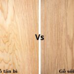 gỗ teak vs gỗ tần bì
