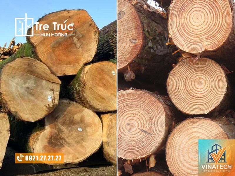 gỗ teak vs gỗ tần bì - Image 4
