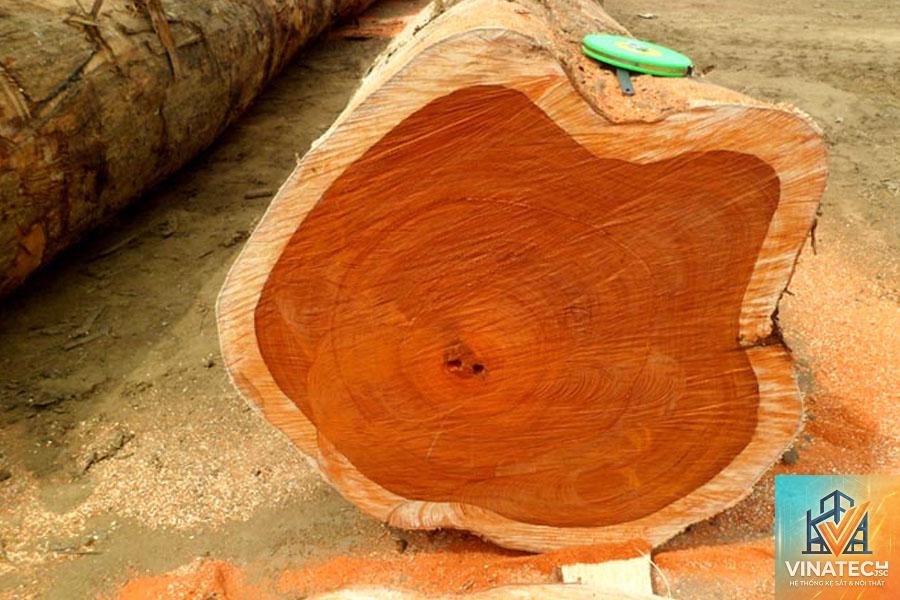 gỗ teak vs gỗ thông - Image 5