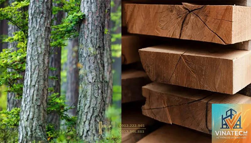 gỗ tự nhiên vs veneer - Image 5