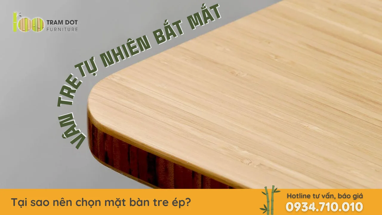 mdf vs ván tre ép - Image 4