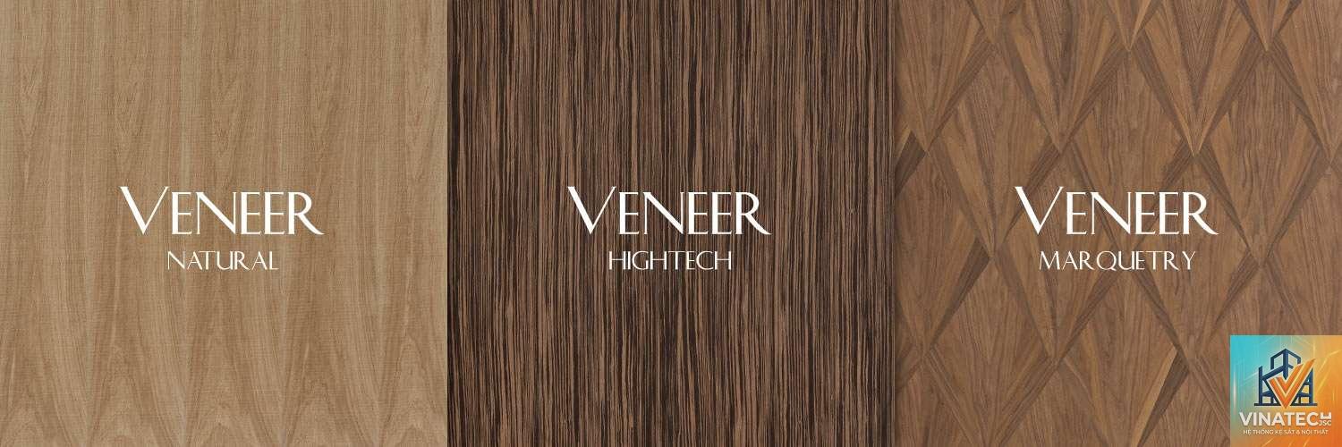 pet vs veneer - Image 5