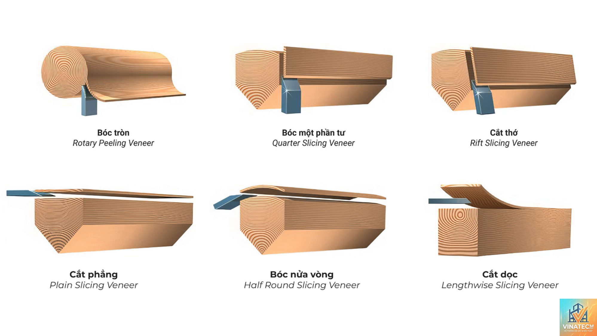 veneer tự nhiên vs veneer kỹ thuật - Image 3